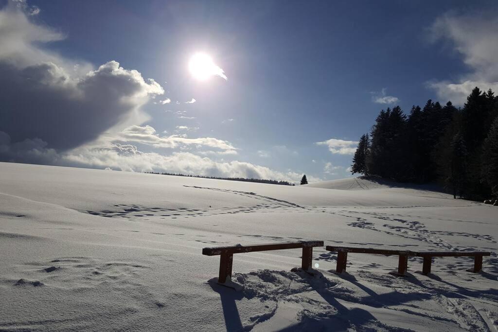 Ferienwohnung "Am Skilift" Herrischried Exterior foto