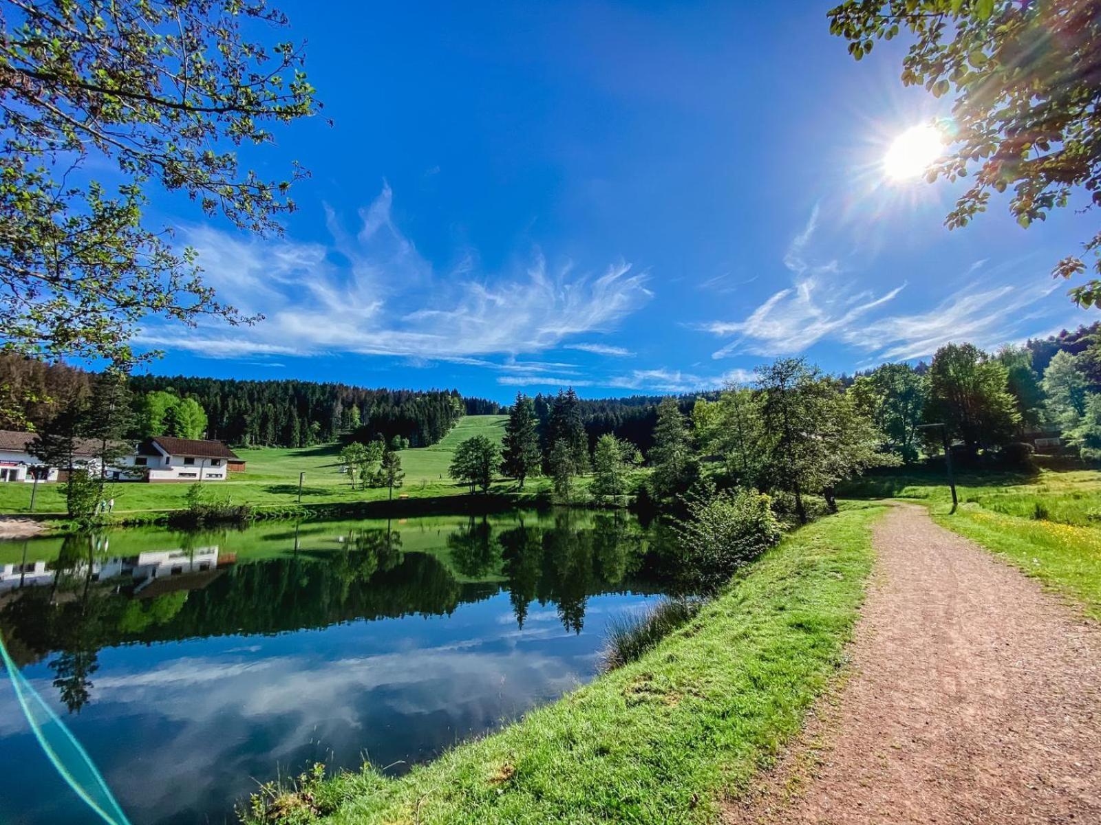 Ferienwohnung "Am Skilift" Herrischried Exterior foto